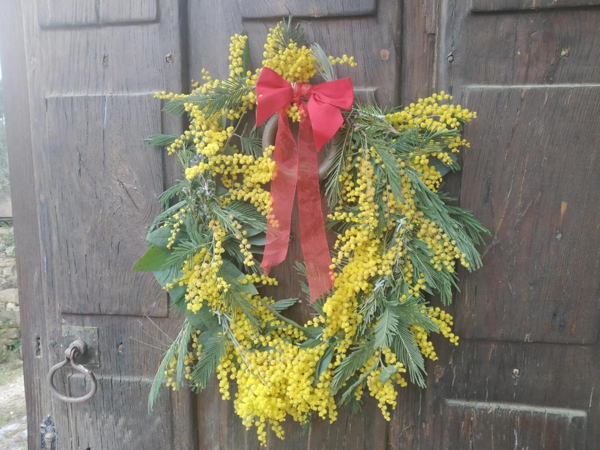 Apartamento Felicitas En La Casa De Cobos, Ribeira Sacra Puebla Del Brollon Esterno foto
