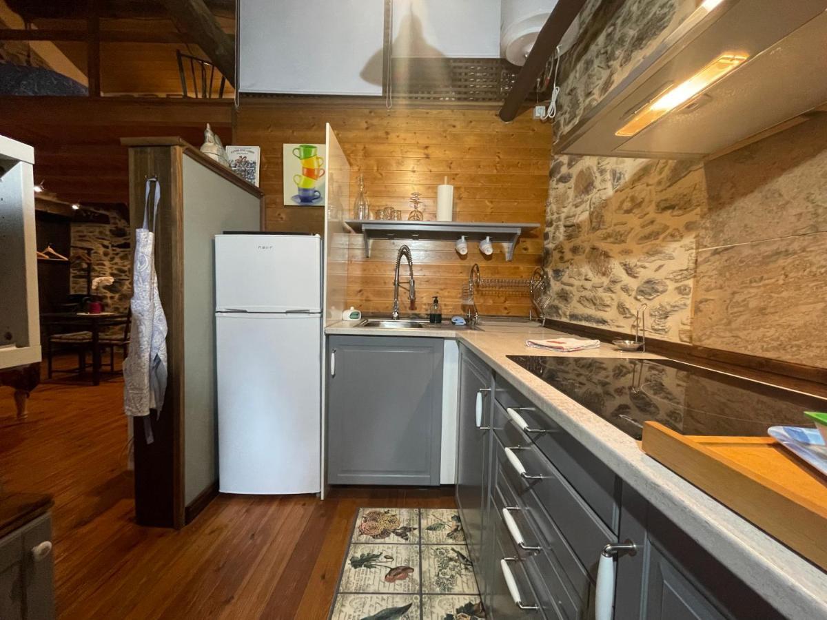 Apartamento Felicitas En La Casa De Cobos, Ribeira Sacra Puebla Del Brollon Esterno foto