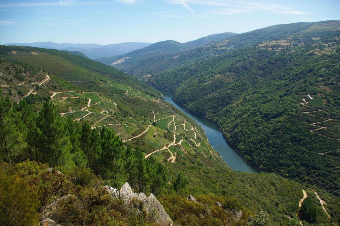 Apartamento Felicitas En La Casa De Cobos, Ribeira Sacra Puebla Del Brollon Esterno foto